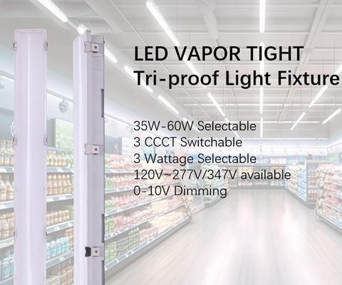 工業用LED蒸気密着灯具 IP66 IK10 2ft/4ft/5ft/8ft 120-277V/120-347V 入力電圧