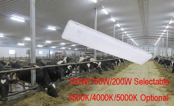 ディムブル 150W 4FT LED蒸気 狭い駐車場 トライ・プルーフライト 照明ソリューション