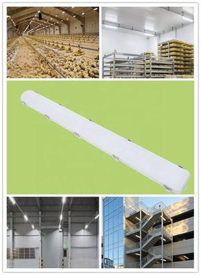 IP66 防水 線形 65W 倉庫 LED 蒸気 密度の高い光源 室内乳農場用