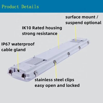 表面にマウントされた4FT 0-10V DIM LED トライプローフバットンライト フィクチャー IP67 蒸気密閉 貯蔵 5-
